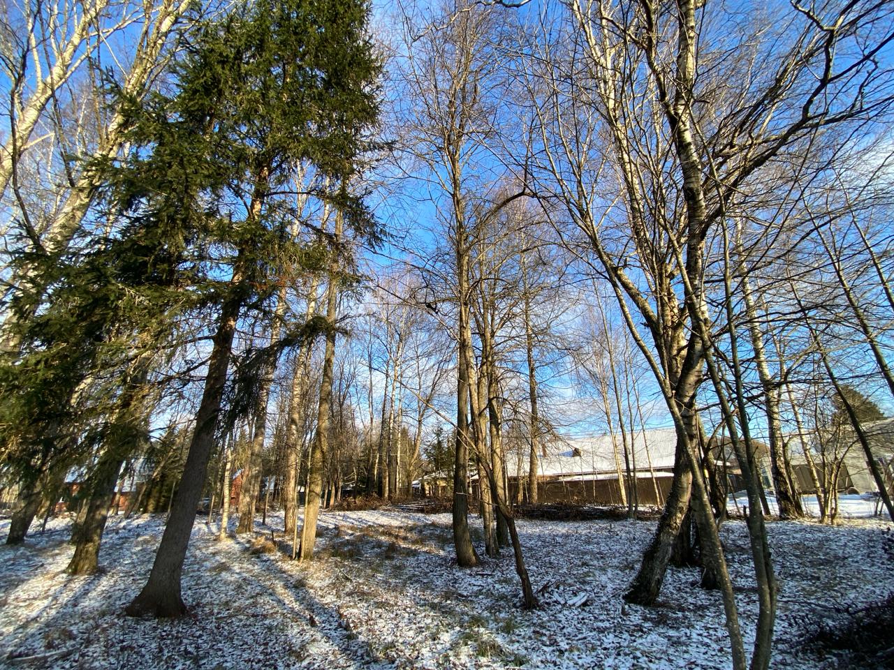 Летний вид участка