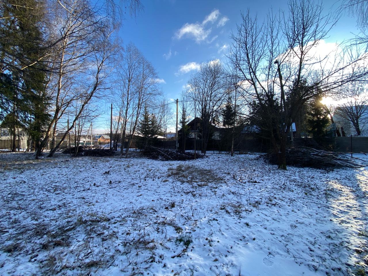 Вид на лес с участка